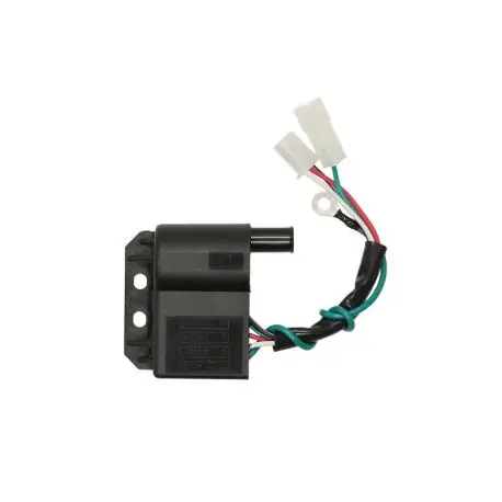 Cewka Z Modułem Beta Malaguti 50Cc Rms 24 601 0030 Premium