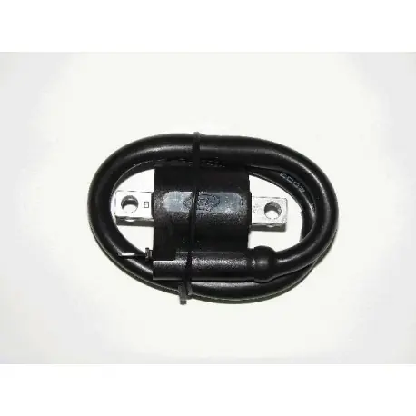 Dostępne od ręki Cewka Zapłonowa 50Cc. Malaguti 50Cc Rms 24 601 0040