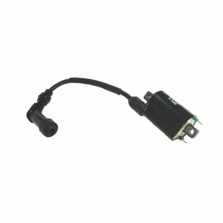 Cewka Zapłonowa Mbk/Ky 250/500 Ccm Rms 24 601 0092 Promocja