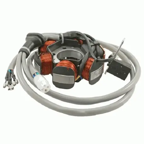 Cewki Komletne Piaggio Free/Sfera/Zip/Liberty/Nrg 50Cc Rms 24 635 0040 Hit cenowy