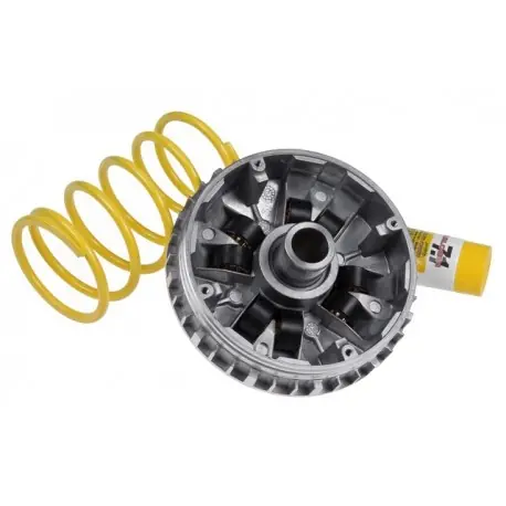 Kup online Wariator Malossi Multivar 2000, Aprilia / Benelli / Italjet / Malaguti / Mbk / Yamaha 250