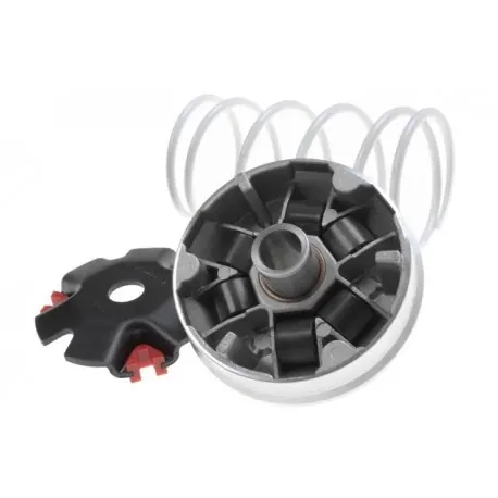 Wariator Malossi Multivar, Gy6 4T (139Qmb / 139Qma) Ostatnia szansa