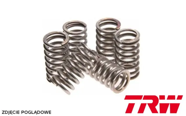 TRW ZF SPRĘŻYNY SPRZĘGŁOWE HONDA CBR 600 F 02-13, CBF 900 HORNET 02-06, CBR 900 RR FIREBLADE 96-01, CBR 954 RR FIREBLADE (6 SZT.) (EBS045) Łatwy zwrot